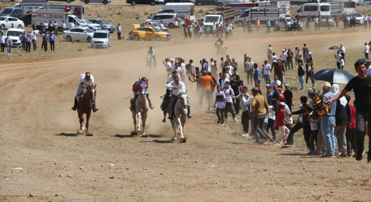 Bingöl Karlıova’da Renkli Görüntülere Sahne Olan Geleneksel At Yarışları